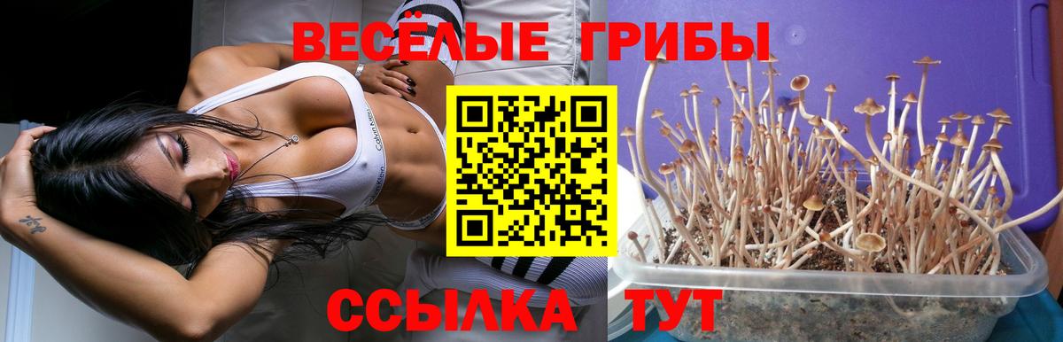 Керчь  что такое наркотик  Псилоцибиновые грибы Cubensis  Вход с VPN  Галлюциногенные грибы мицелий 