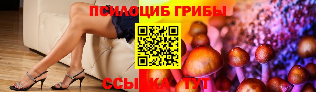 Псилоцибиновые грибы GOLDEN TEACHER Керчь